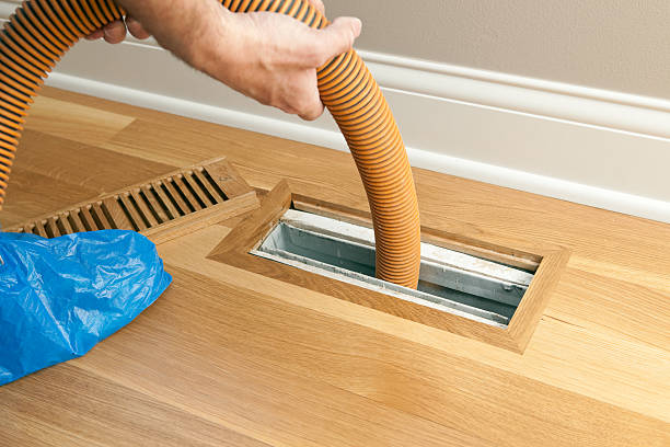 Best HVAC Air Duct Cleaning  in Citronelle, AL